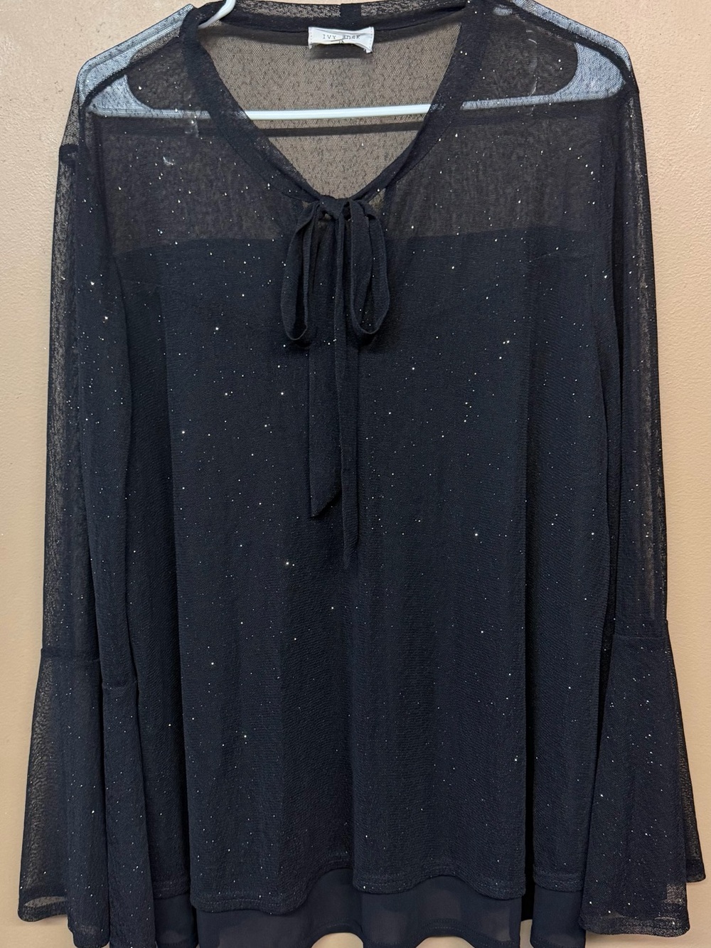 Sparkle Tie-Neck Sheer Blouse in Black